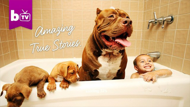 Snap Licenses Video Content from Britain’s Barcroft Media