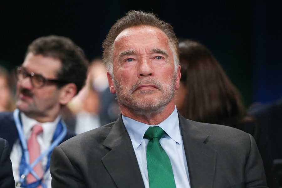 Netflix Confirms Arnold Schwarzenegger Scripted Action Series