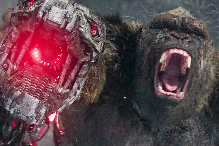 ‘Godzilla vs. Kong’ Takes No. 1 on Redbox Disc Rental Chart; ‘The Marksman’ Remains Top On Demand Title