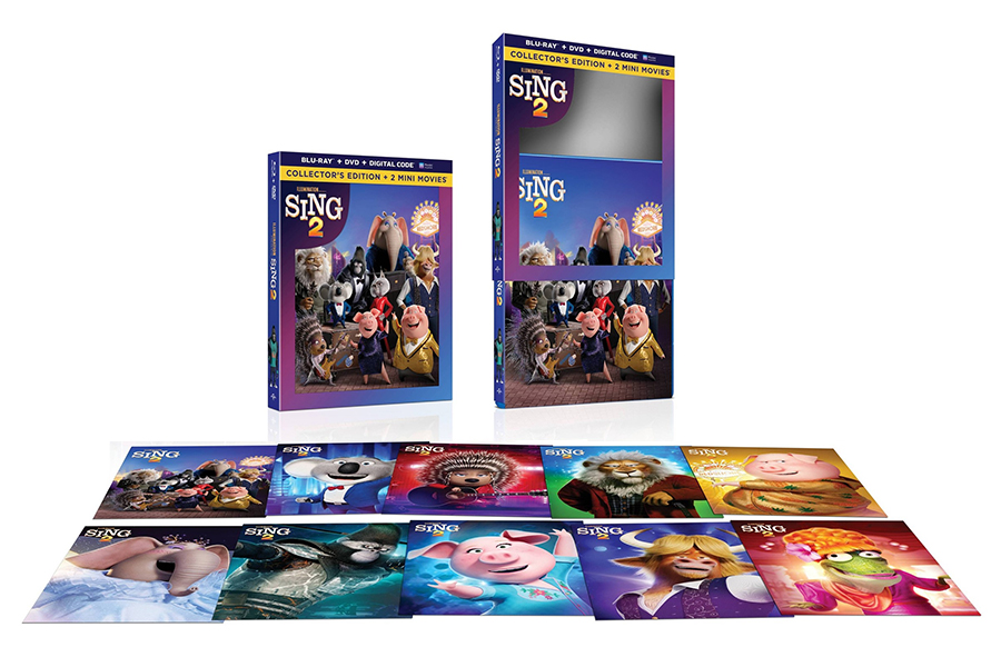 今日子 DVD & Sing! Sing! Sing! 2 セット CD5枚