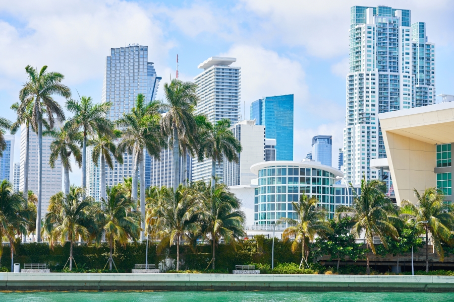 Streamers Prepare for NATPE Global 2025 in Miami Feb. 5-7