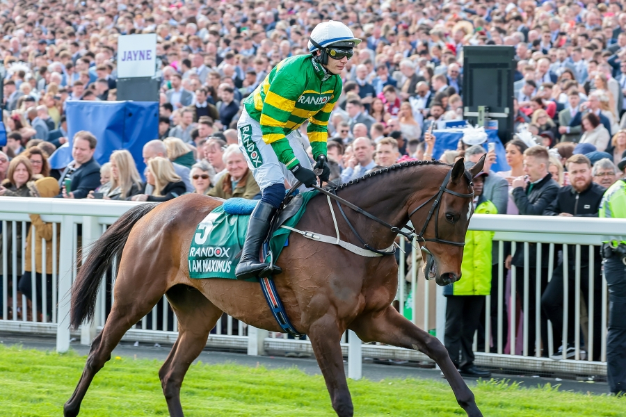 wedotv Signs Distribution Deal With Samsung TV Plus APAC for Three FAST Channels